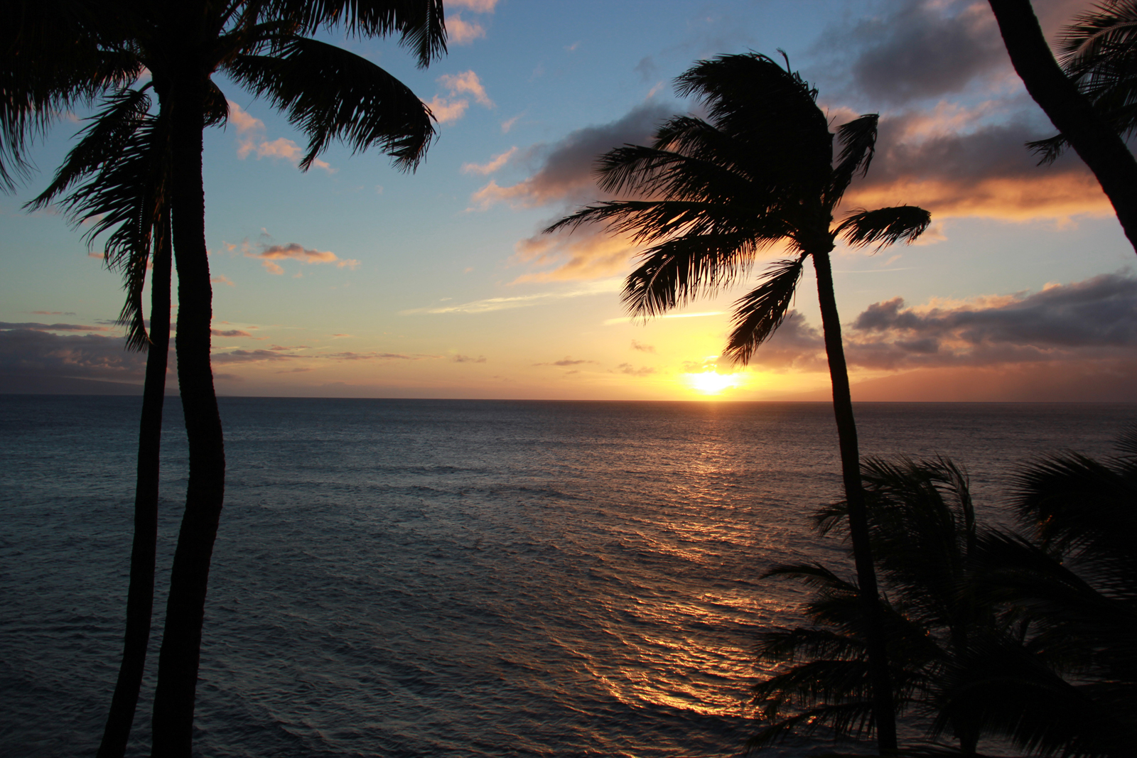 hawaii-gold