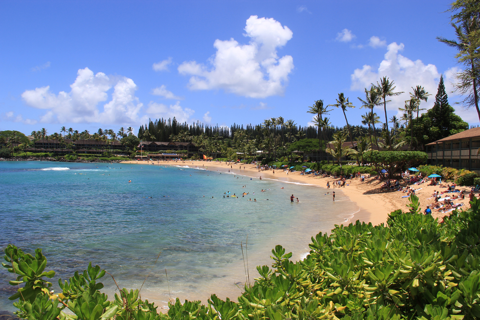 maui-love