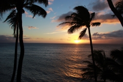 hawaii-gold